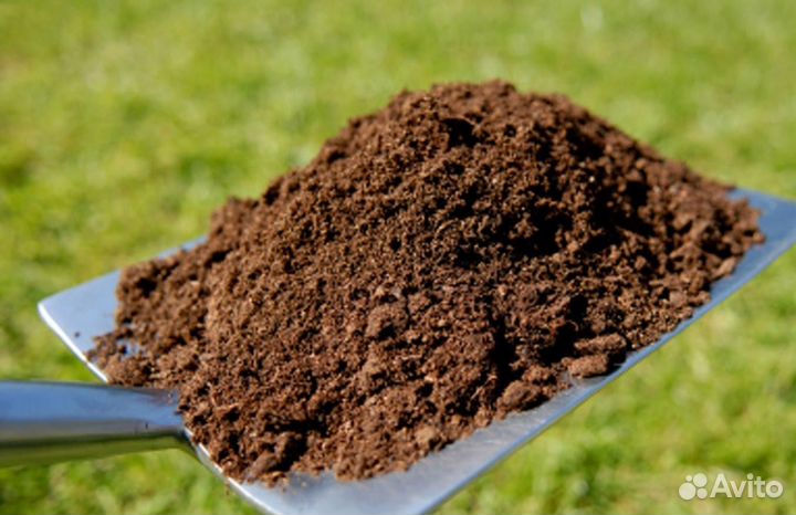 Перегной в теплицу