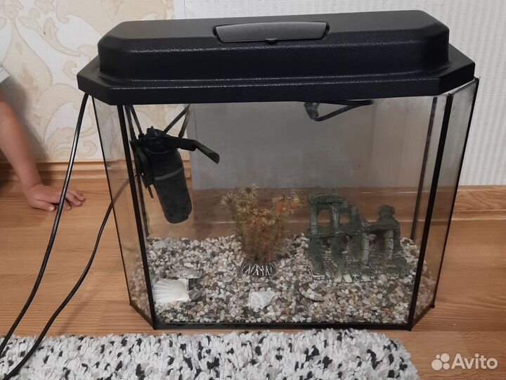 Аквариум
