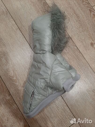 Одежда для маленьких собак