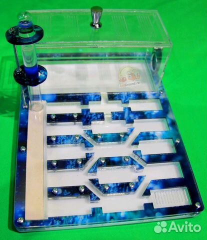 Муравьиные фермы с муравьями Пермь гарантия