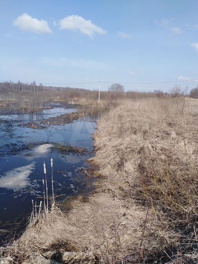 Участок 50 сот. (ИЖС)