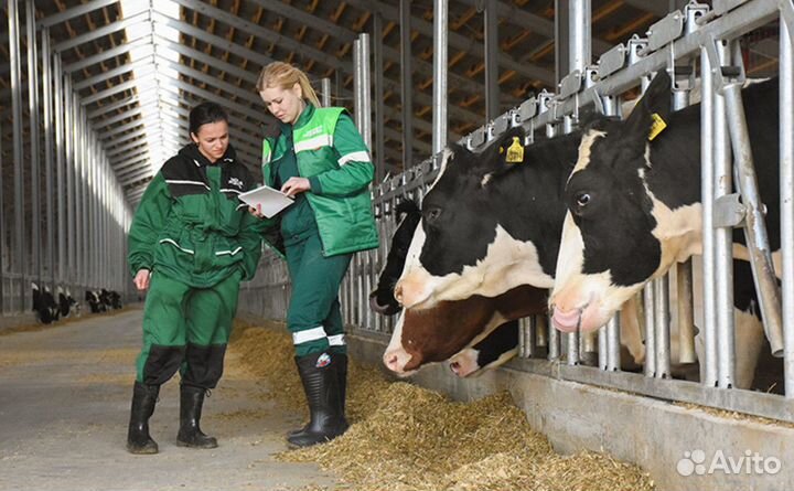 Оператор свиноводческого комплекса (вахта)