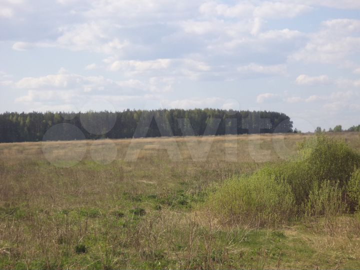 Участок 3,5 га (СНТ, ДНП)