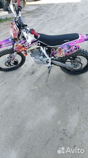 Avantis fx PR250 lux kke