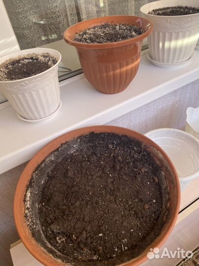 Цветочные горшки с землей