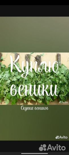 Березовые веники
