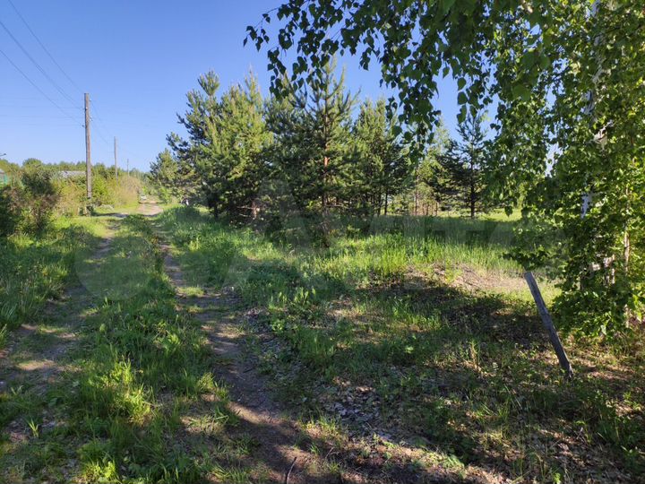 Участок 15 сот. (СНТ, ДНП)