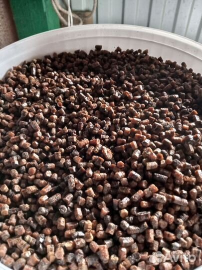 Перга пчелиная