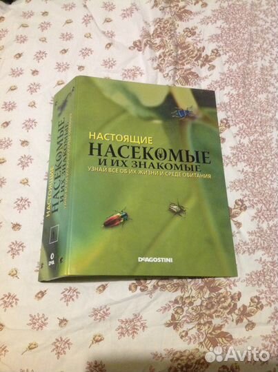 Коллекция Насекомые и их знакомые