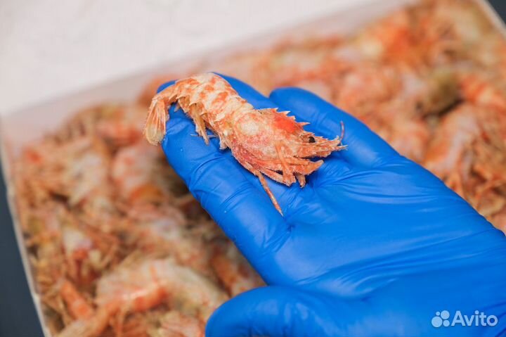 Рыба и морепродукты оптом