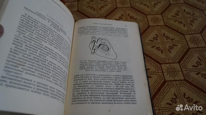 Савицкий Н.Н. Сердце. Методика исследования и диаг