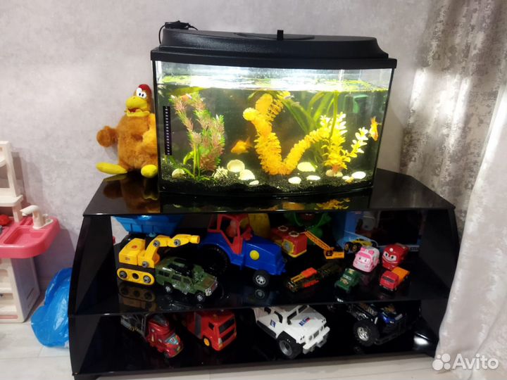 Аквариум