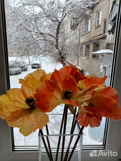 Икеа. Искусственные цветы. Маки