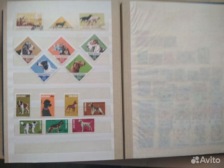 Марки-Кошки и Собаки