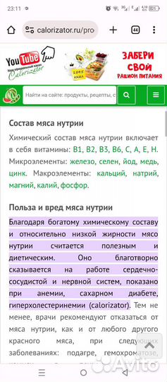 Мясо нутрии