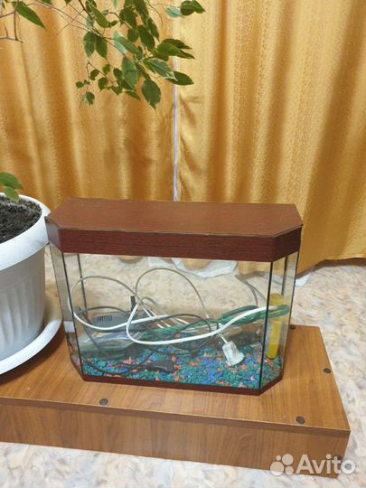 Аквариум