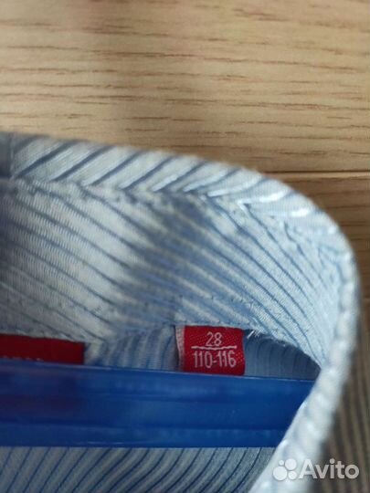 Рубашка с шортами на мальчика р.110-116