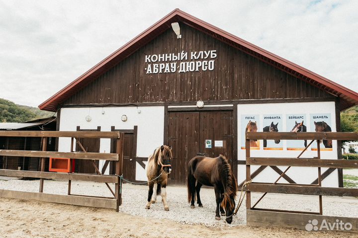 Урок верховой езды (на манеже)