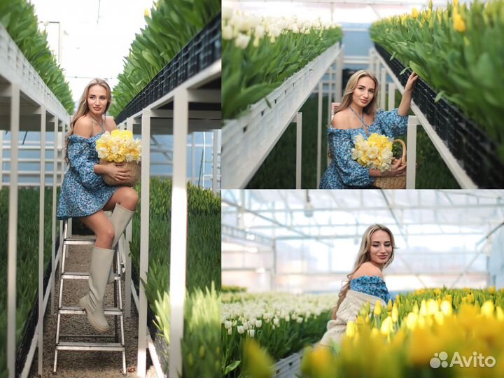 Фотограф начинающий