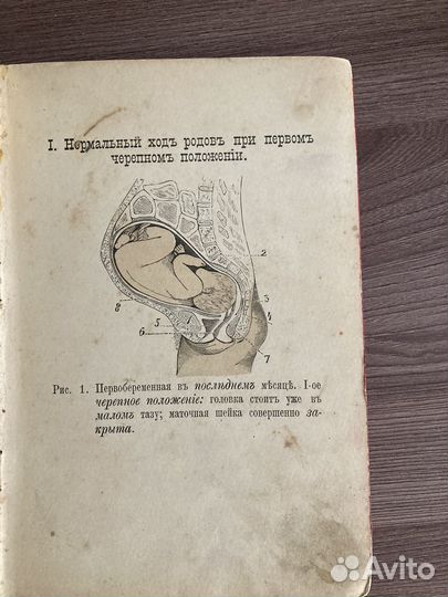 Антикварная Книга 1895г