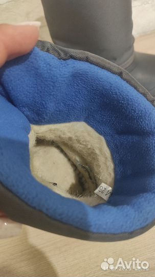 Демисезонные сапожки 