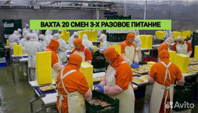 Разнорабочий с проживанием и питанием вахта