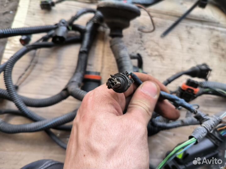 Коса двигателя, проводка двигателя LADA Kalina