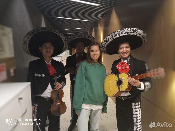 Живая музыка Кавер группа Музыканты Серенада