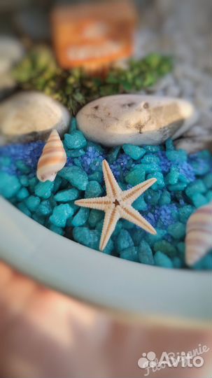 Композиция из живых растений в кашпо