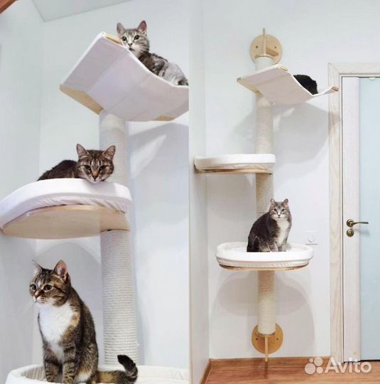 Когтеточки и домики для кошек