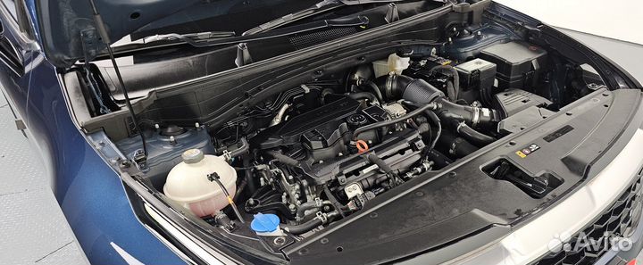 Kia Sportage 2.0 AT, 2023, 23 618 км