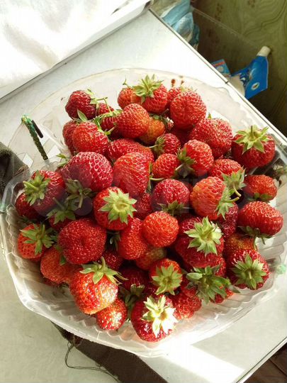 Дача 30 м² на участке 6 сот.