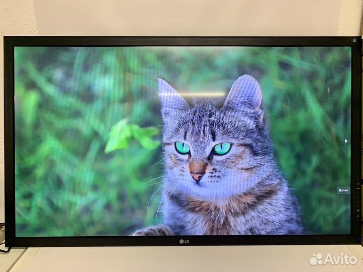 Монитор LG 55