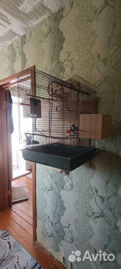 Клетка для больших попугаев
