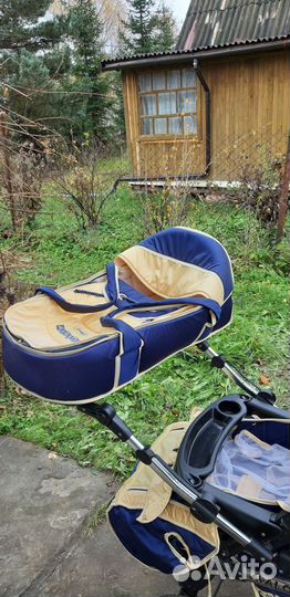 Коляска adamex avalon