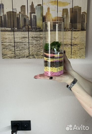 Флорариум. Суккулеты. Цветы. Букет