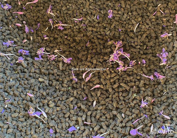 Иван-чай листовой и гранулированный свежий сбор, в