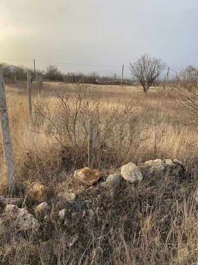 Участок 10 сот. (СНТ, ДНП)