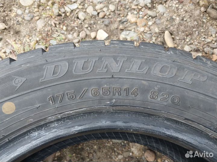 Dunlop SP Winter Maxx WM01 175/65 R14