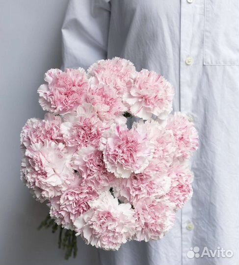 Диантус (гвоздика)