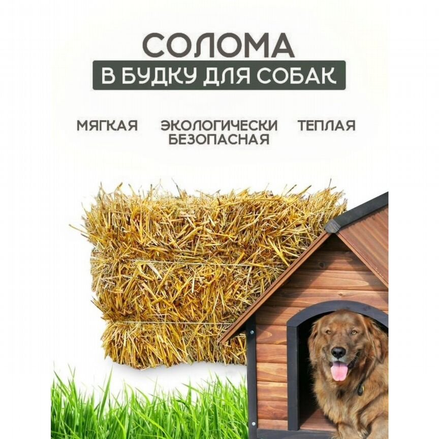 Солома для собак (подстилка)