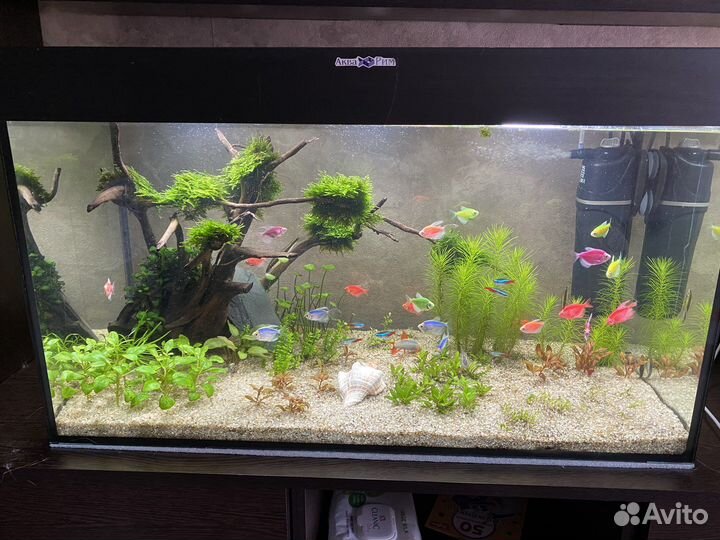 Аквариум