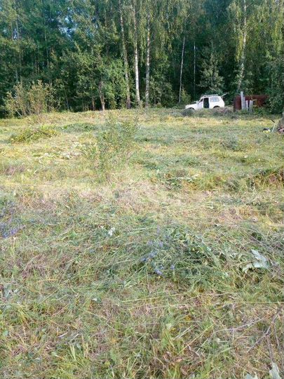 Участок 9 сот. (СНТ, ДНП)