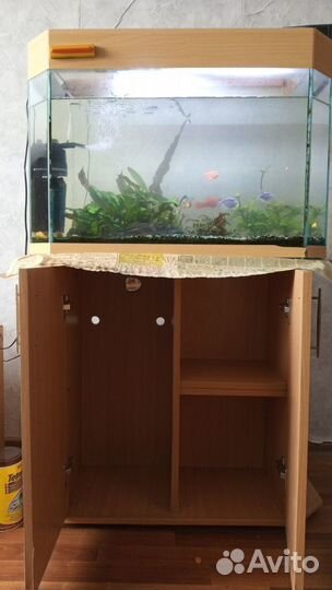 Аквариум