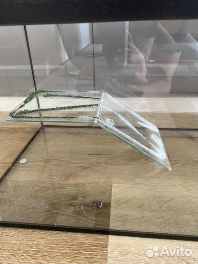 Аквариум для красноухой черепахи