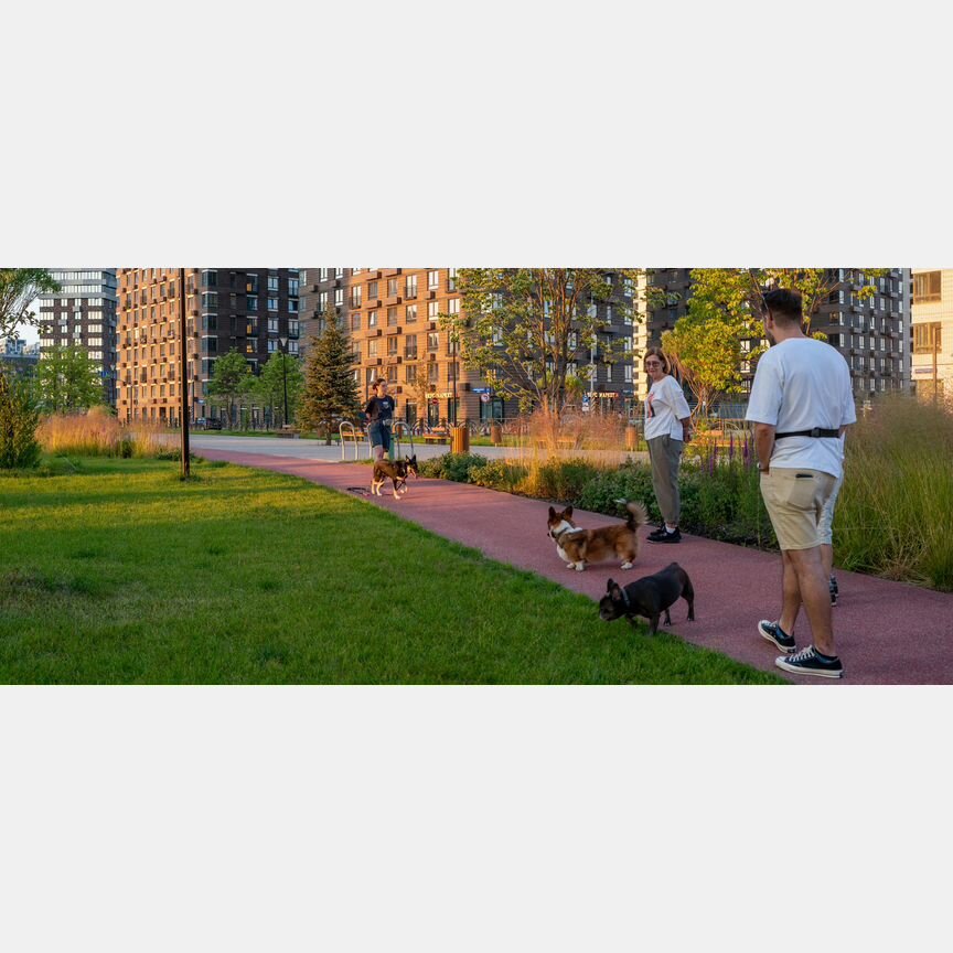 1-к. квартира, 32,9 м², 18/24 эт.