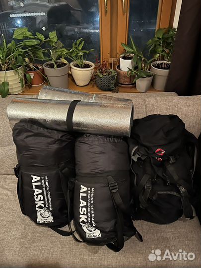 Палатка и спальники. Аренда или продажа