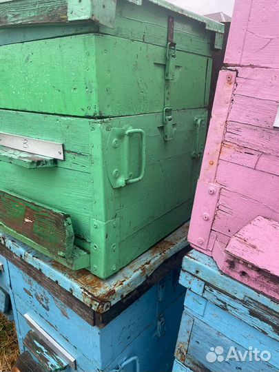 Улей для пчел бу