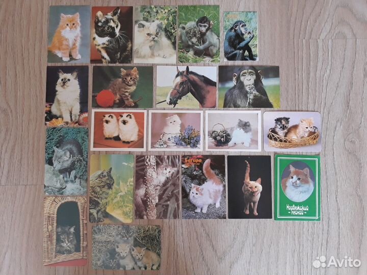 Календарики (Колпино)