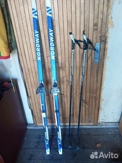 Беговые лыжи